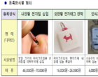 손보協, 서울시·수의사協과 ‘내장형 동물등록제’ 추진